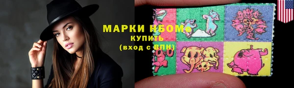 шишки Богородицк