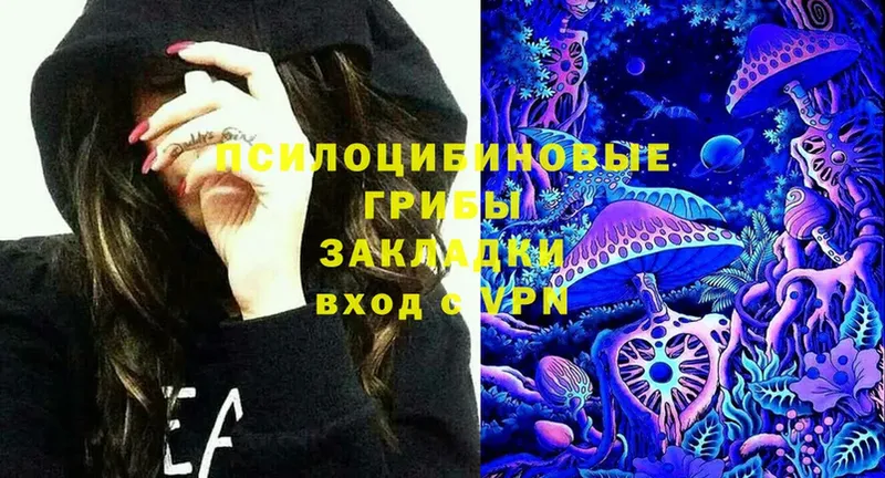 Псилоцибиновые грибы Psilocybine cubensis  Кимовск 